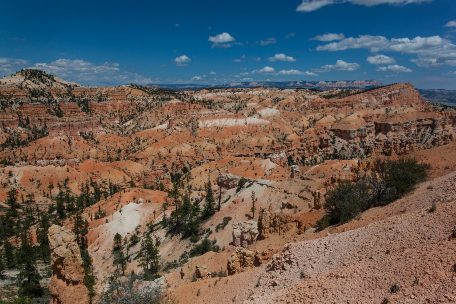 USA_Bryce Canyon_236